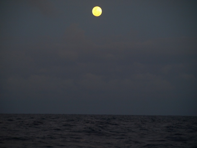 ../../Pictures/050210/057 Vollmond.JPG